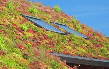 Ballygally living roof systems