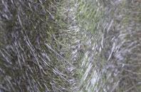 Ballygally fibreglass roof work